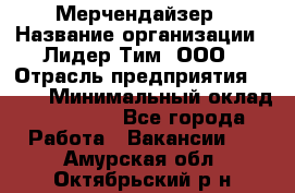 Мерчендайзер › Название организации ­ Лидер Тим, ООО › Отрасль предприятия ­ BTL › Минимальный оклад ­ 17 000 - Все города Работа » Вакансии   . Амурская обл.,Октябрьский р-н